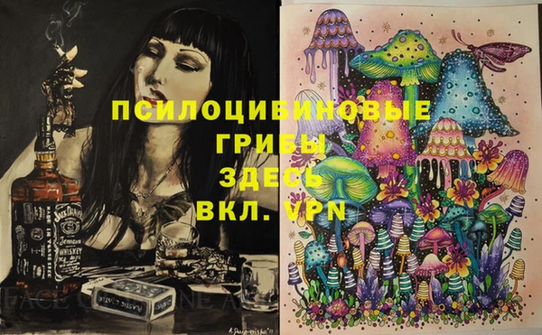 ГАЛЛЮЦИНОГЕННЫЕ ГРИБЫ Алзамай