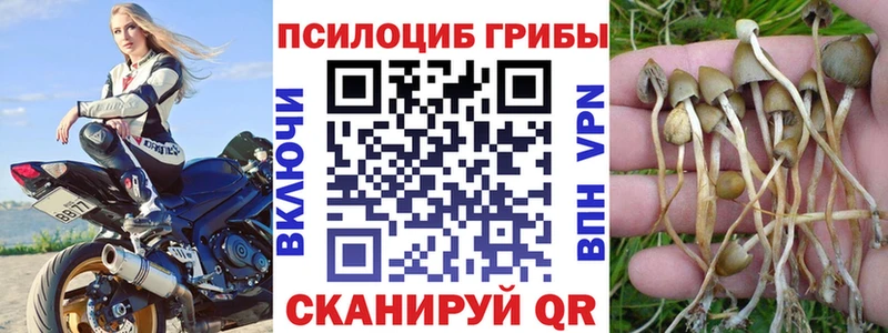 нарко площадка какой сайт  цены   кракен как зайти  Чаплыгин  Псилоцибиновые грибы Cubensis 