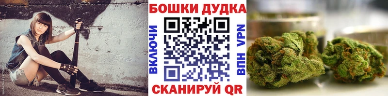 Бошки марихуана ГИДРОПОН  MEGA как войти  Чаплыгин 